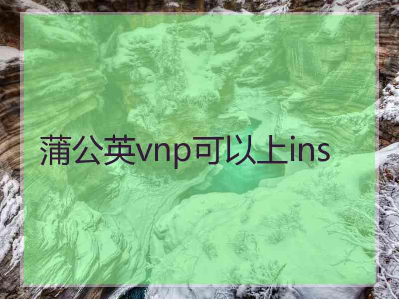 蒲公英vnp可以上ins