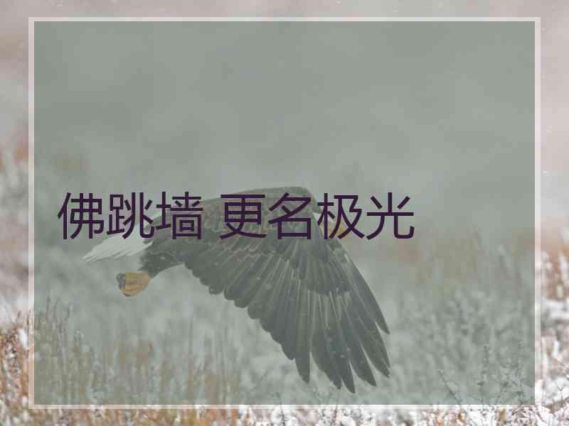 佛跳墙 更名极光