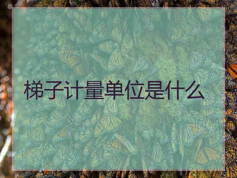 梯子计量单位是什么