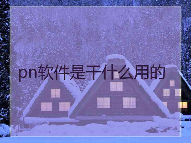 pn软件是干什么用的