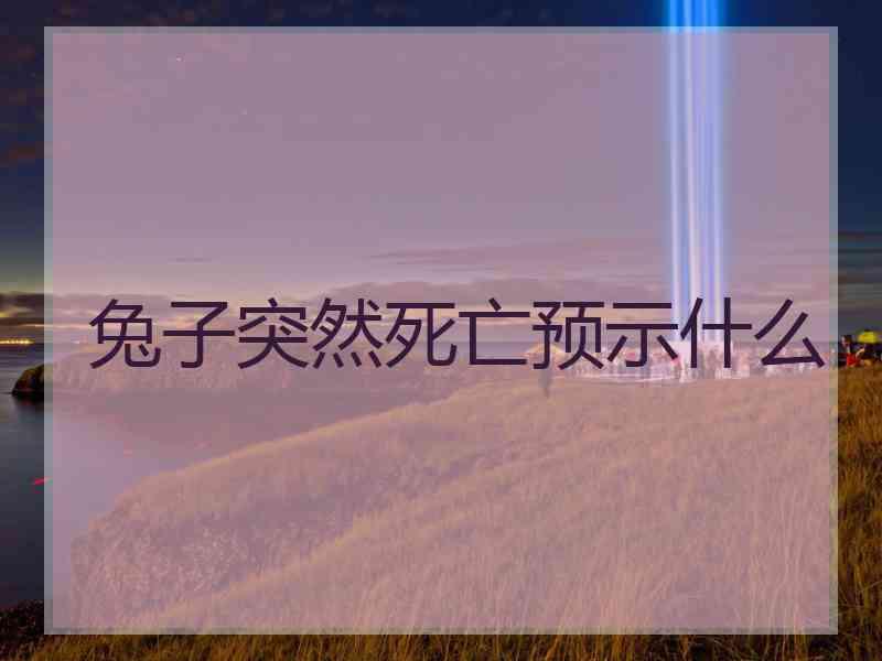 兔子突然死亡预示什么