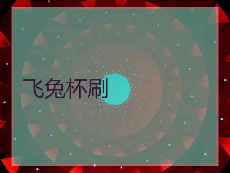 飞兔杯刷