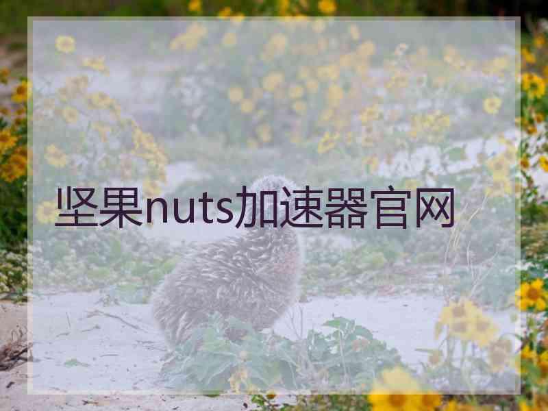 坚果nuts加速器官网