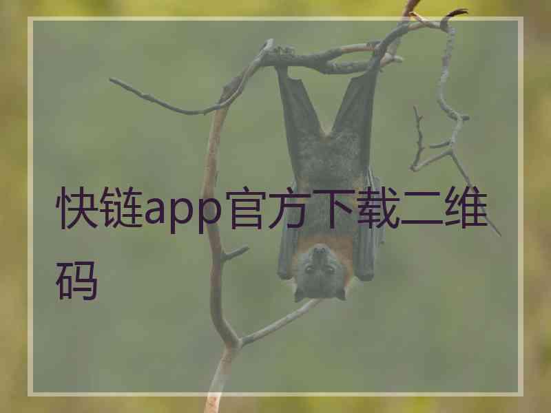 快链app官方下载二维码