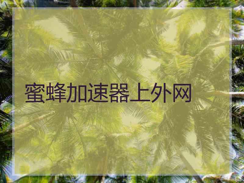 蜜蜂加速器上外网