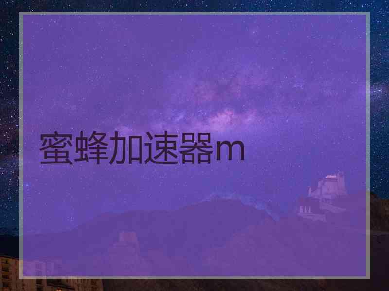 蜜蜂加速器m