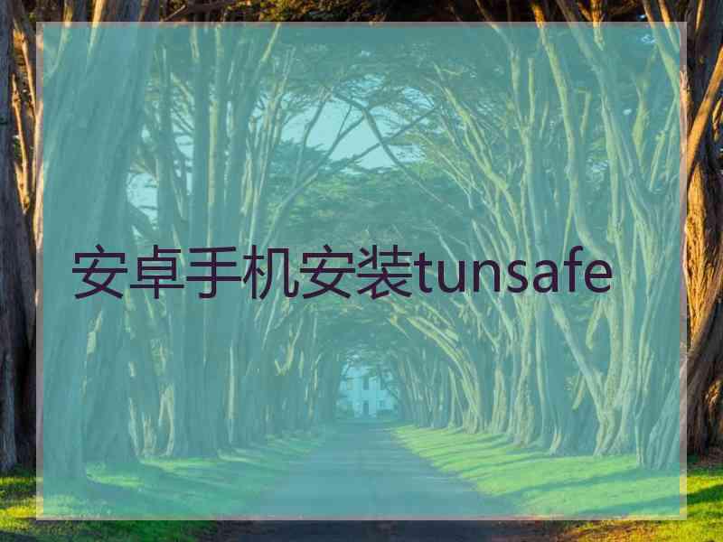 安卓手机安装tunsafe