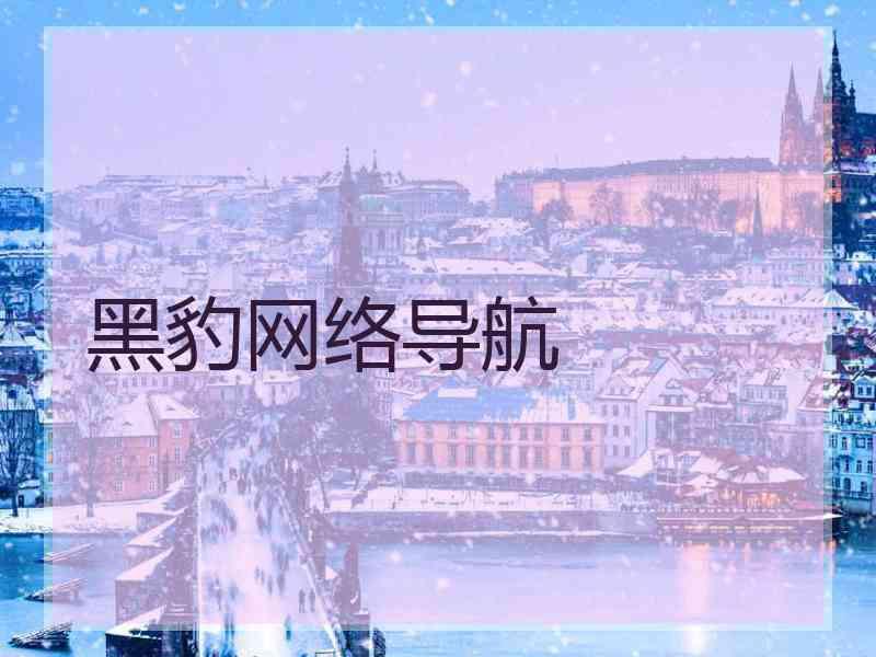 黑豹网络导航
