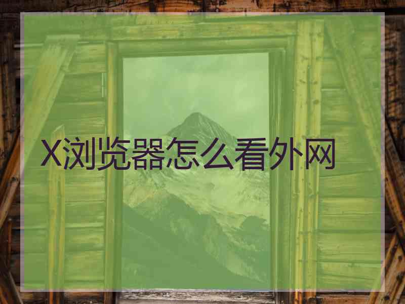 X浏览器怎么看外网