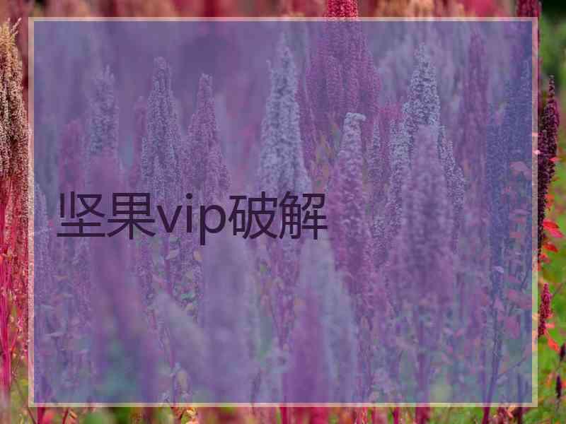 坚果vip破解