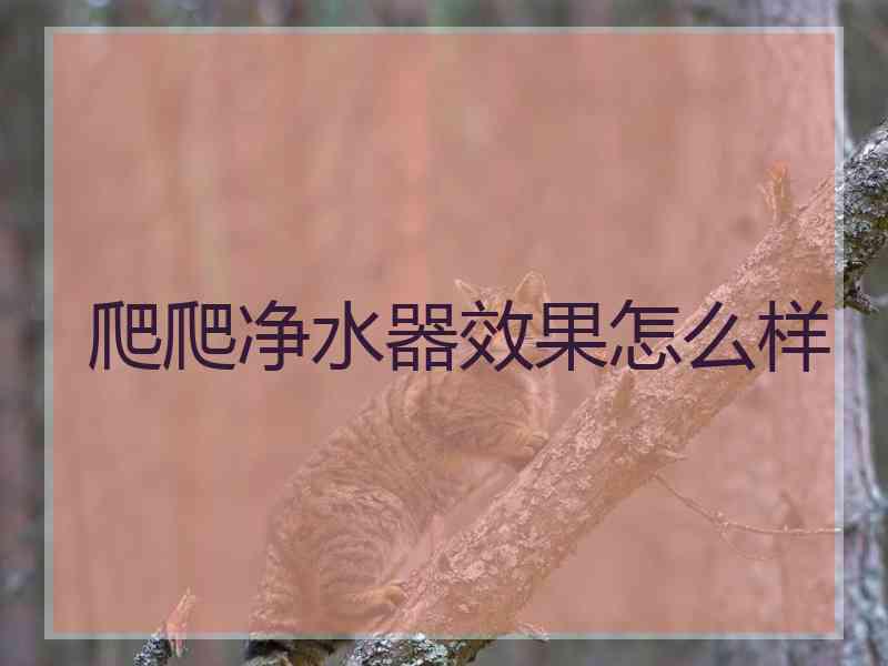 爬爬净水器效果怎么样