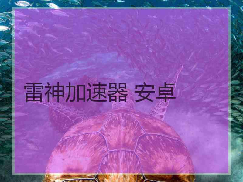 雷神加速器 安卓