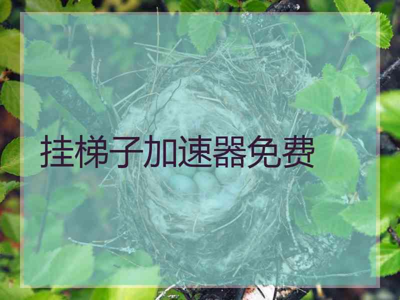 挂梯子加速器免费