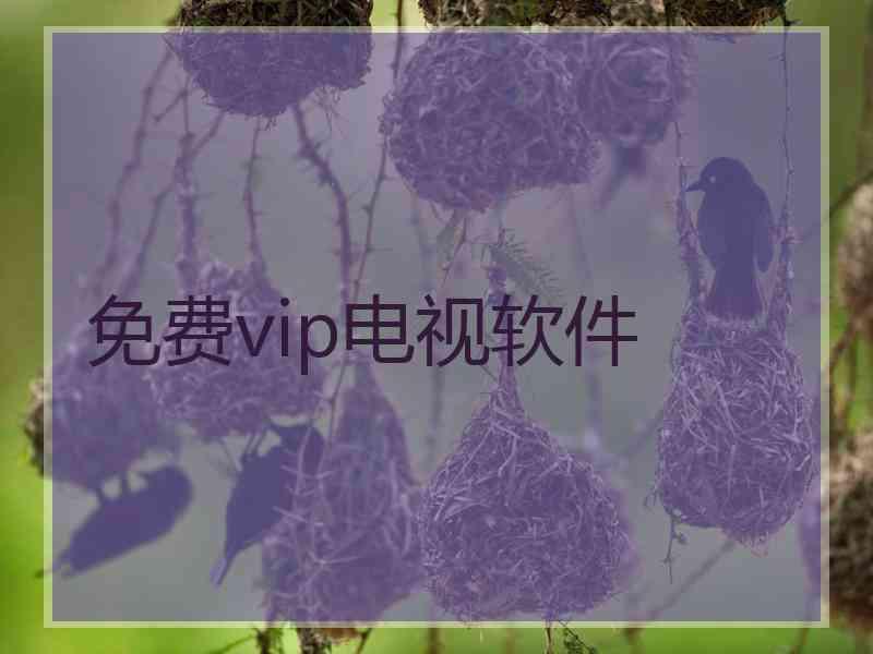 免费vip电视软件