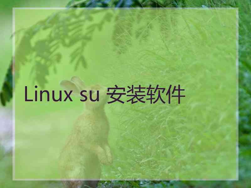 Linux su 安装软件