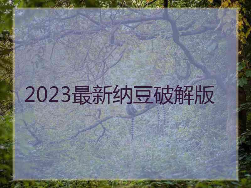 2023最新纳豆破解版