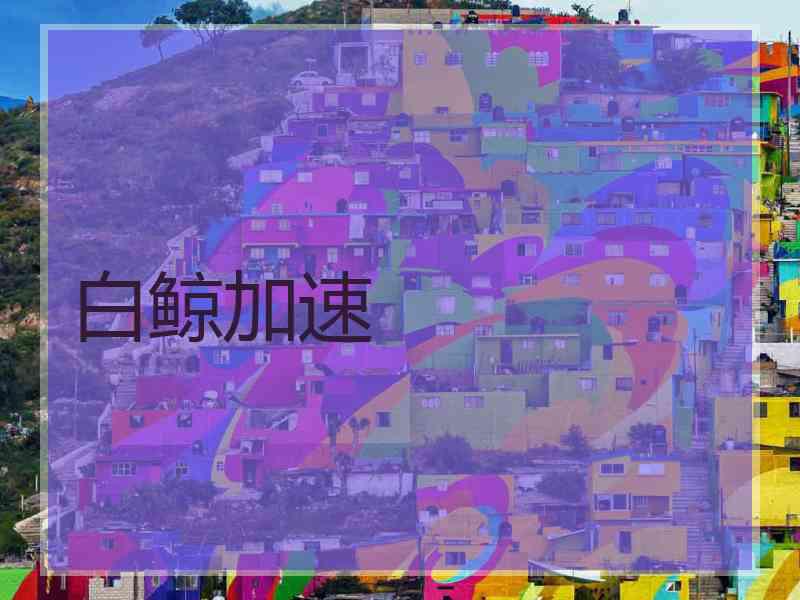白鲸加速
