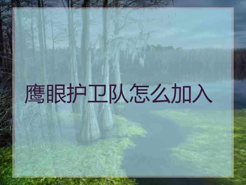 鹰眼护卫队怎么加入