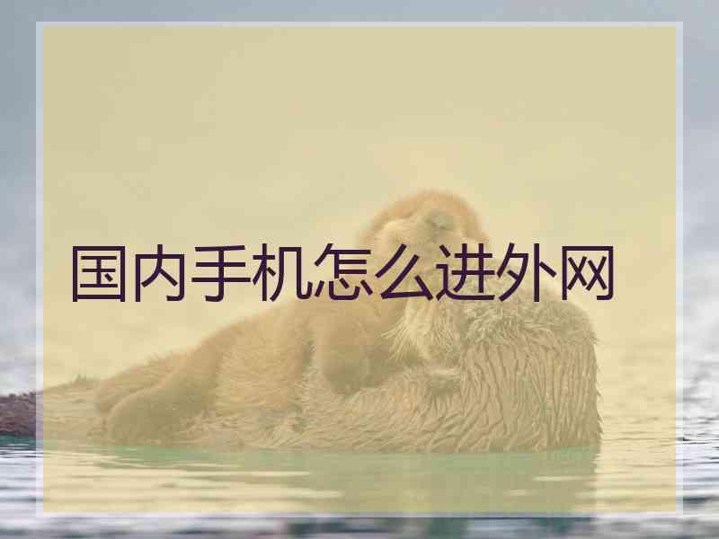 国内手机怎么进外网