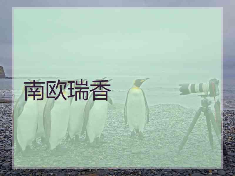 南欧瑞香