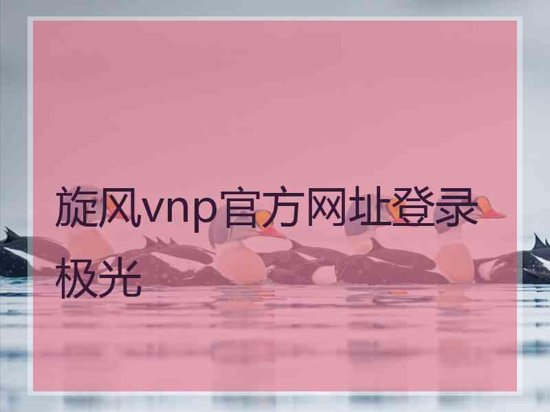 旋风vnp官方网址登录极光