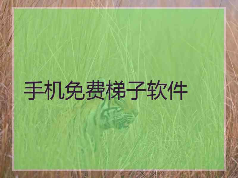 手机免费梯子软件