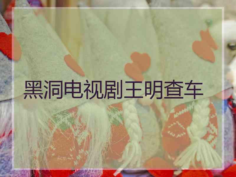 黑洞电视剧王明查车