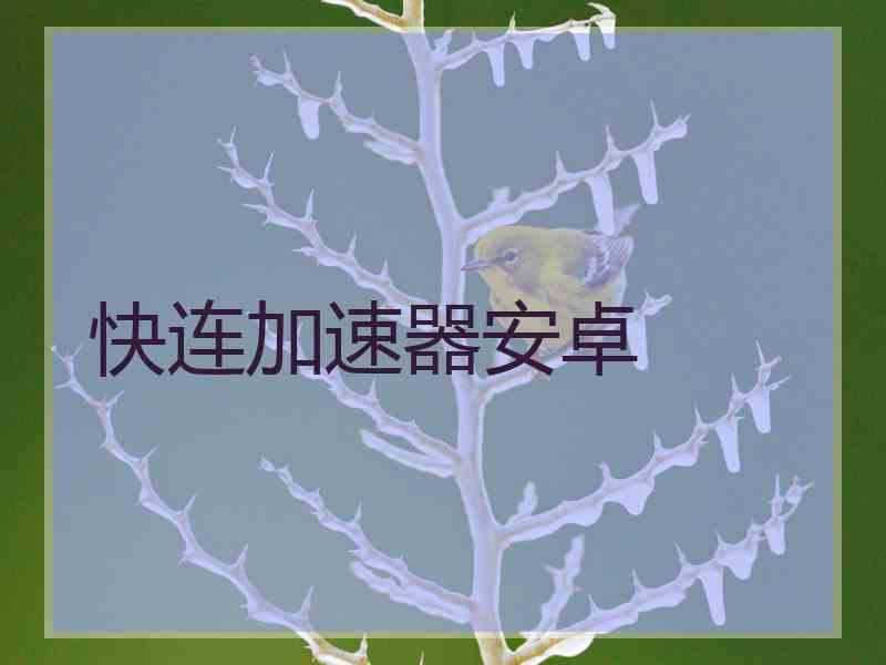 快连加速器安卓