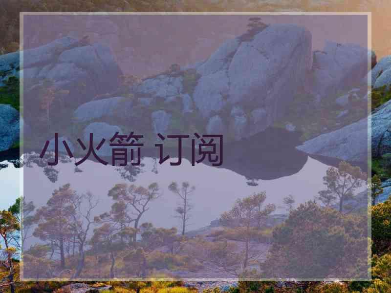 小火箭 订阅