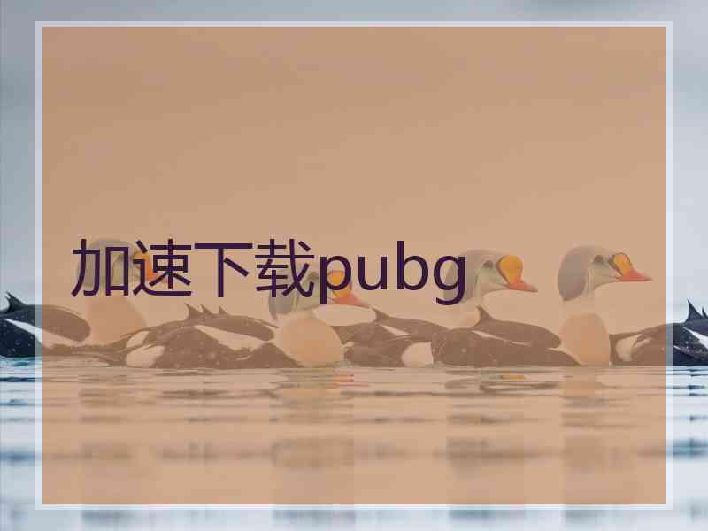 加速下载pubg
