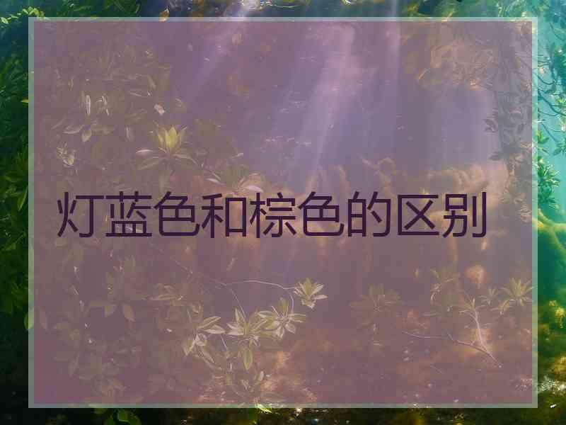 灯蓝色和棕色的区别