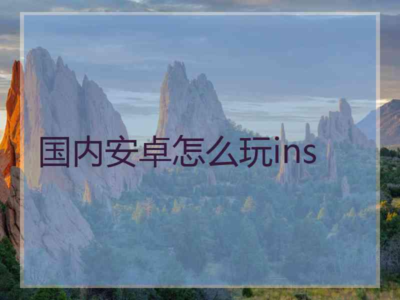 国内安卓怎么玩ins