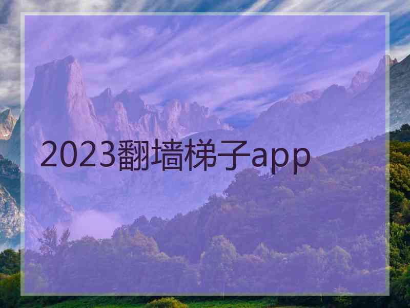 2023翻墙梯子app