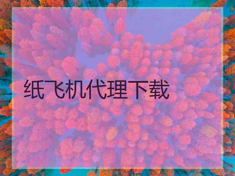 纸飞机代理下载