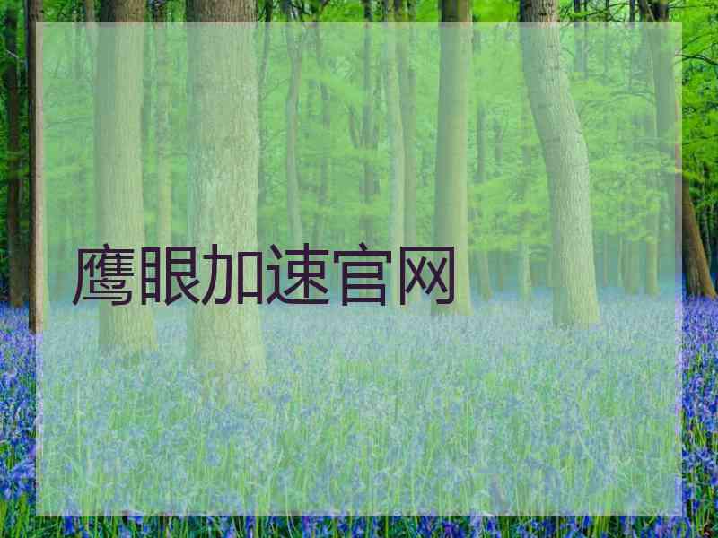 鹰眼加速官网