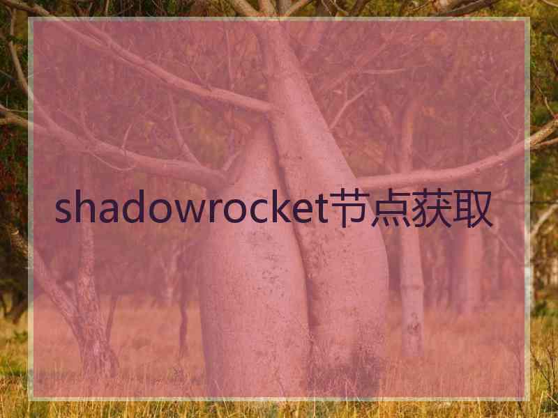 shadowrocket节点获取