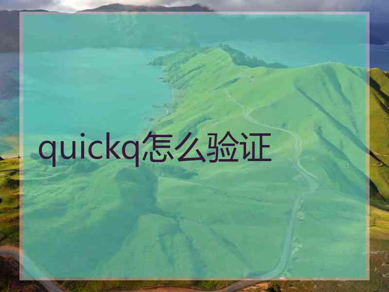 quickq怎么验证