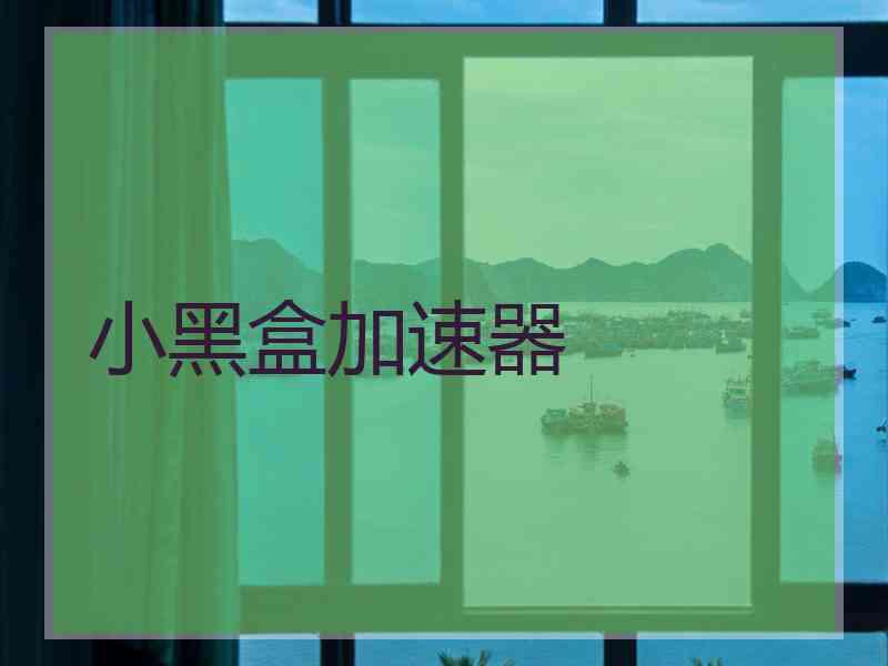 小黑盒加速器