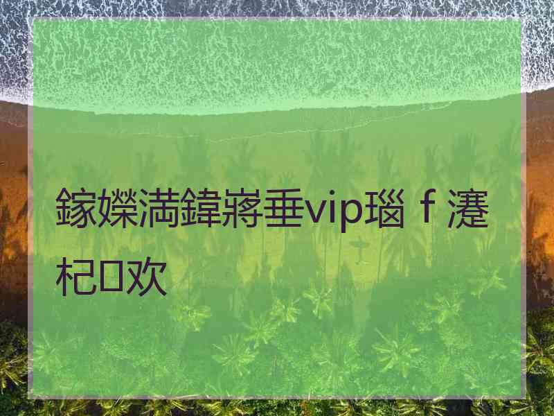 鎵嬫満鍏嶈垂vip瑙ｆ瀽杞欢