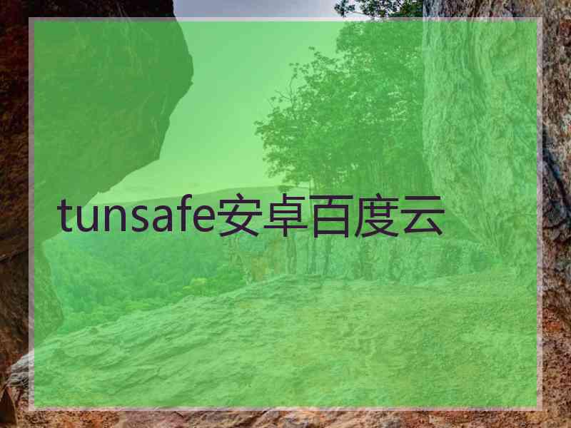 tunsafe安卓百度云