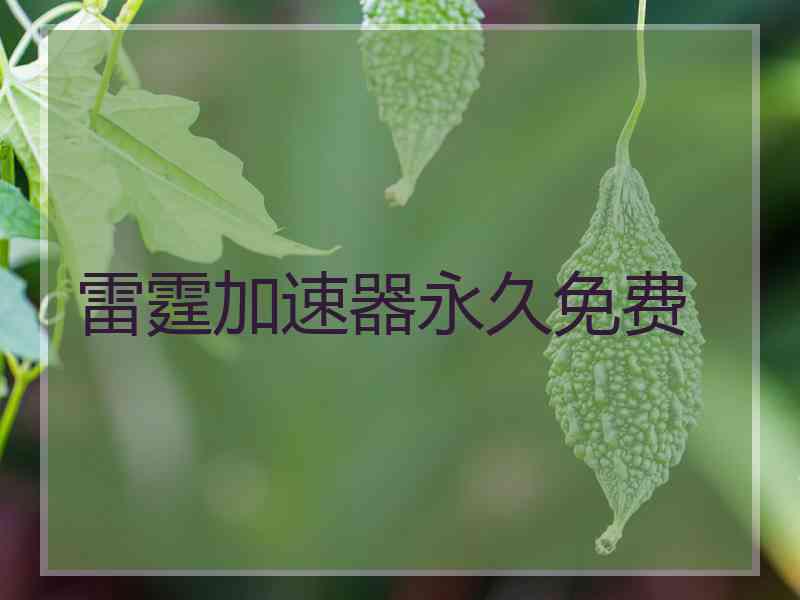 雷霆加速器永久免费