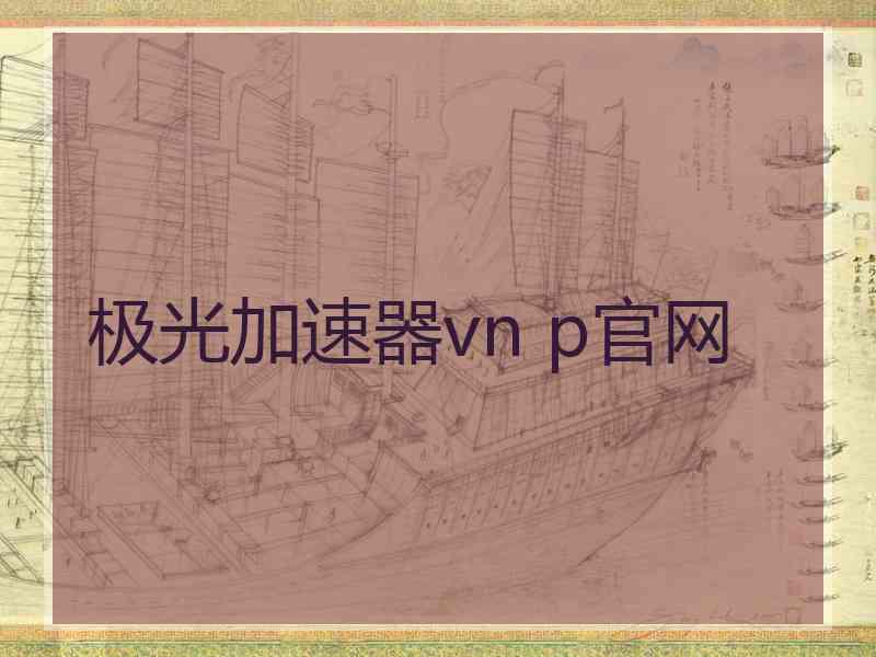 极光加速器vn p官网