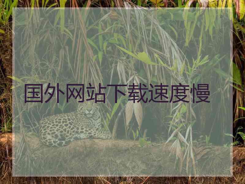 国外网站下载速度慢