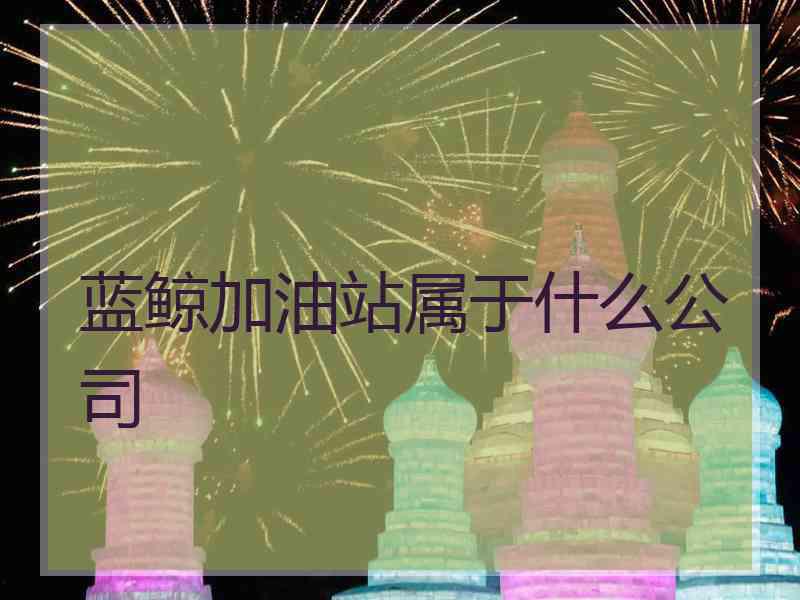 蓝鲸加油站属于什么公司