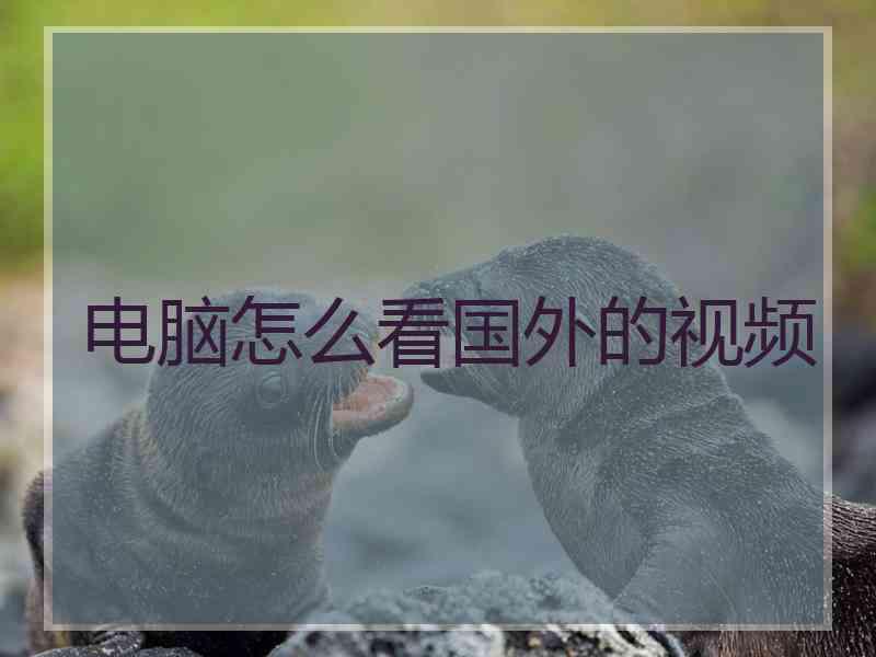 电脑怎么看国外的视频