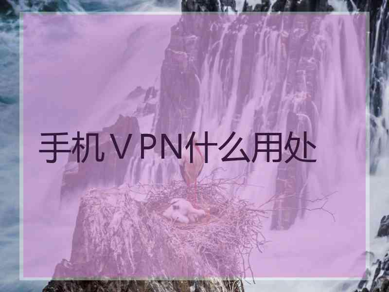 手机ⅤPN什么用处