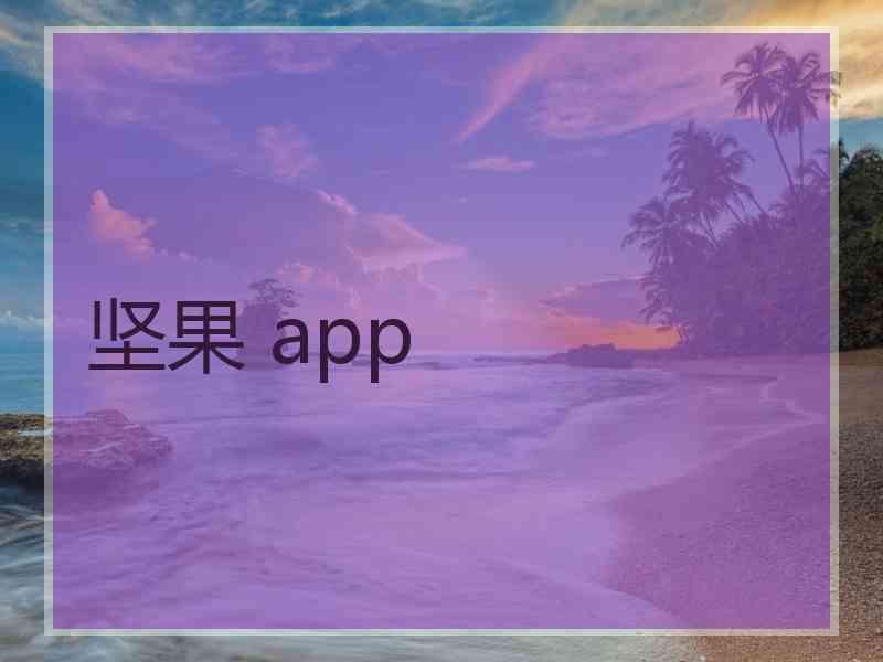 坚果 app