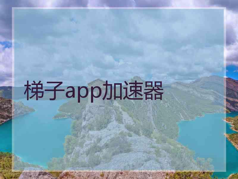 梯子app加速器