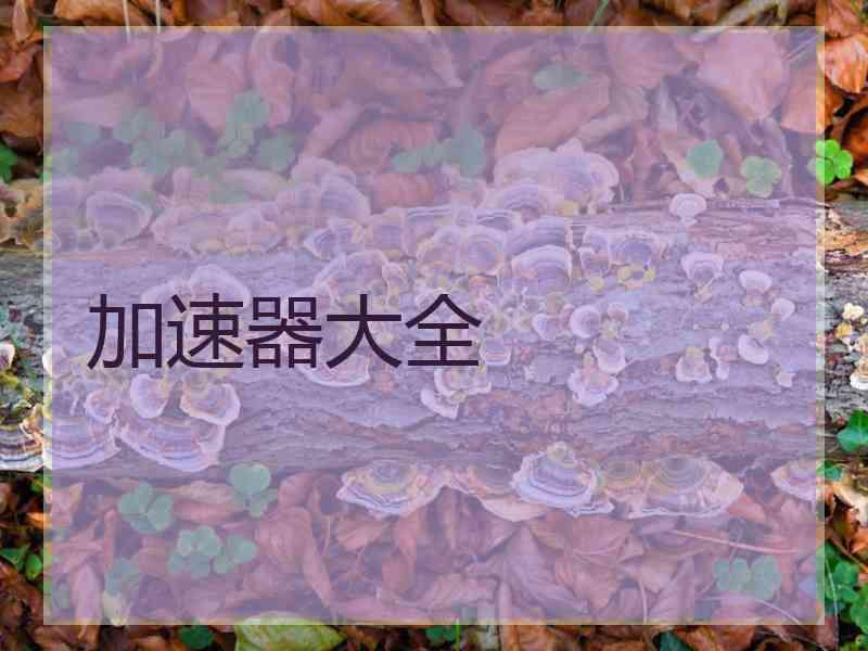 加速器大全