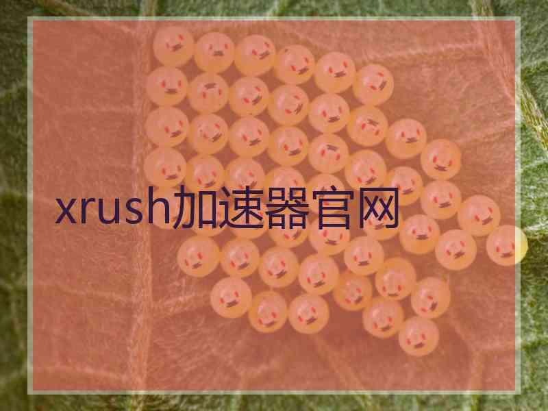 xrush加速器官网